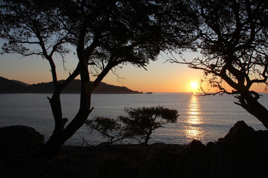 Auberge Du Cap Negre Le Lavandou Exteriör bild