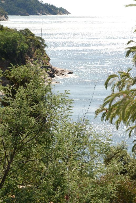 Auberge Du Cap Negre Le Lavandou Exteriör bild