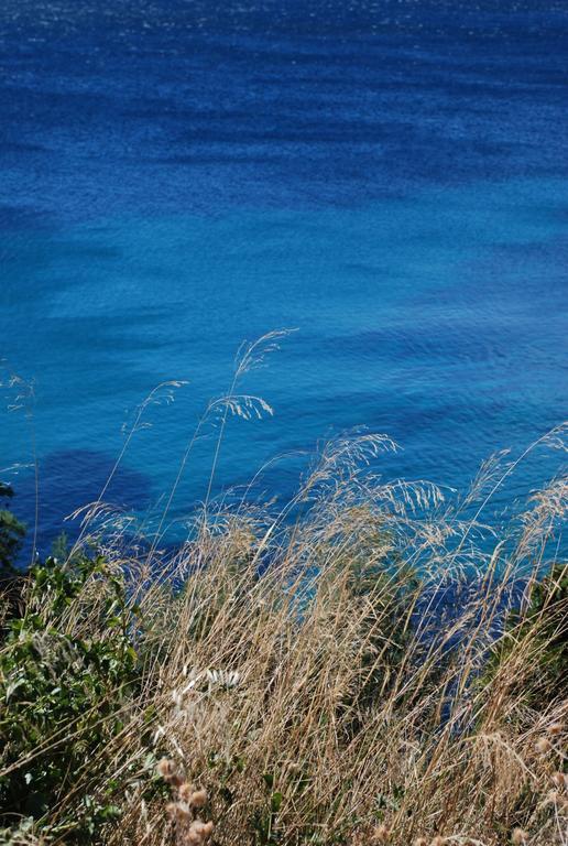 Auberge Du Cap Negre Le Lavandou Exteriör bild